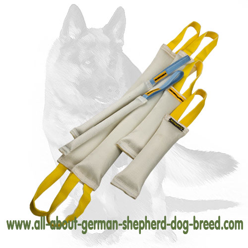 German Shepherd Fire Hose Bite Tugs -Training Set