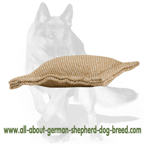 Puppy Jute Bite Tug Without Handles