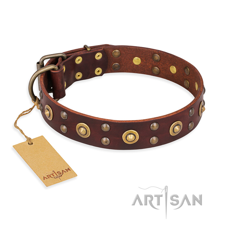 'Caprice of Fashion' FDT Artisan German Shepherd Brown Leather Dog Collar with Round Decorations
