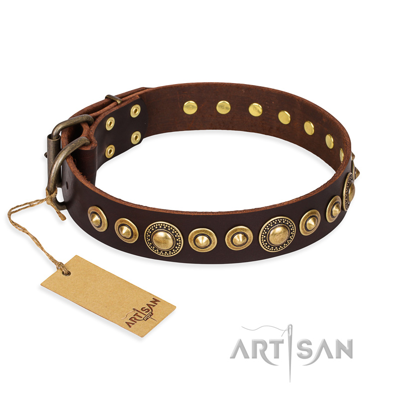 'Ancient Warrior' German Shepherd Brown Leather Dog Collar