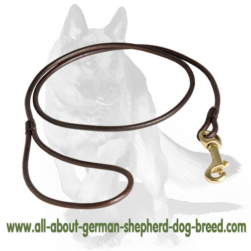German Shepherd Leather Leash for Dog Shows