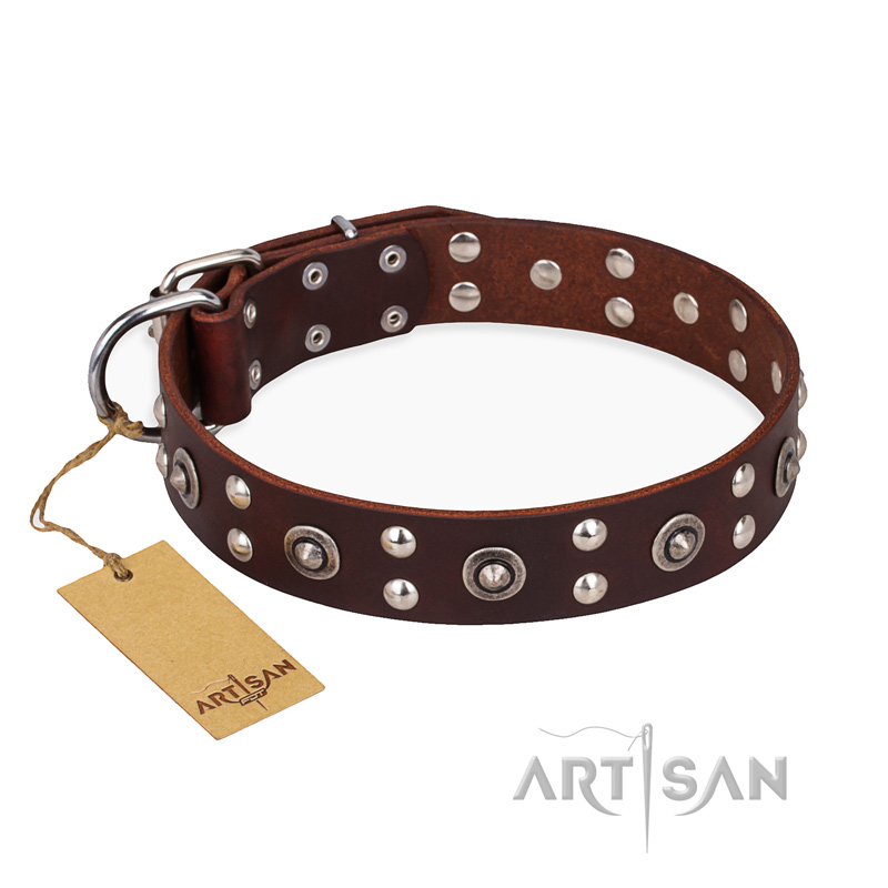 'Pirate Treasure' FDT Artisan Exciting Brown Leather German Shepherd Dog Collar with Studs