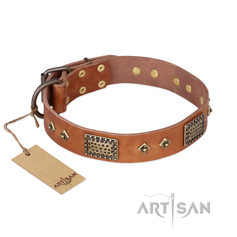 'Catchy Look' FDT Artisan Decorated Tan Leather German Shepherd Collar