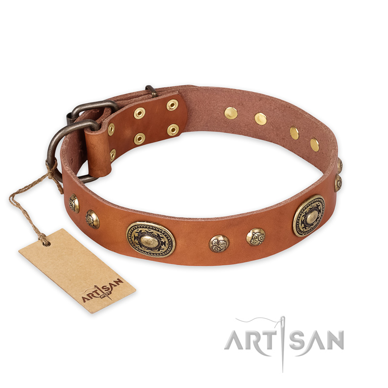 'Stunning Dress' FDT Artisan Tan Leather German Shepherd Collar with Goldish Plates and Studs - 1 1/2 inch (40 mm) wide