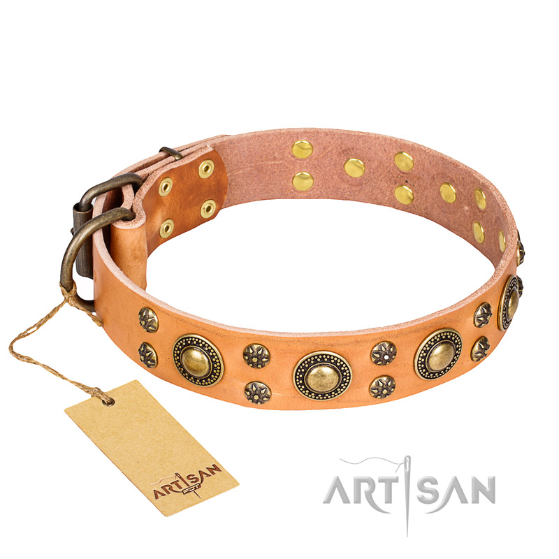 'Sophisticated Glamor' FDT Artisan Natural Leather Collar with Fancy Old-bronze Plated Decorations for German Shepherd