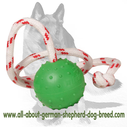 Dotted Rubber Dog Ball for German Shepherd Water Training and Playing