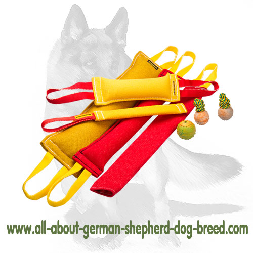 Excellent German Shepherd Training Set