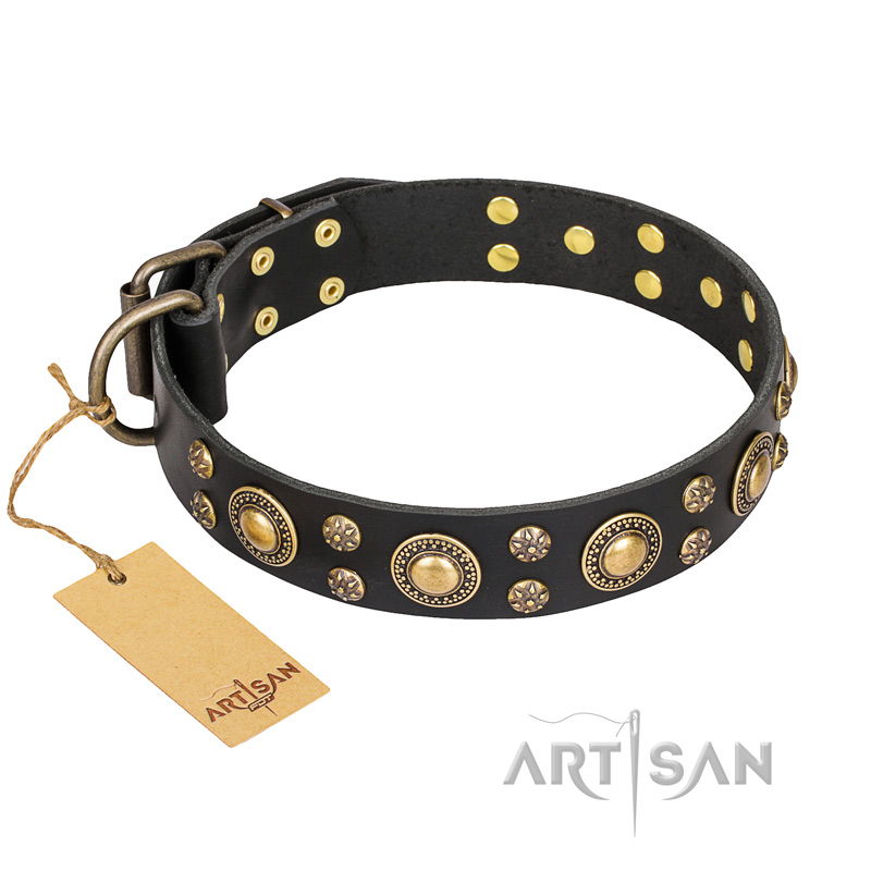 'Baroque Chic' FDT Artisan Studded Black Leather Dog Collar for German Shepherd Dog Walking