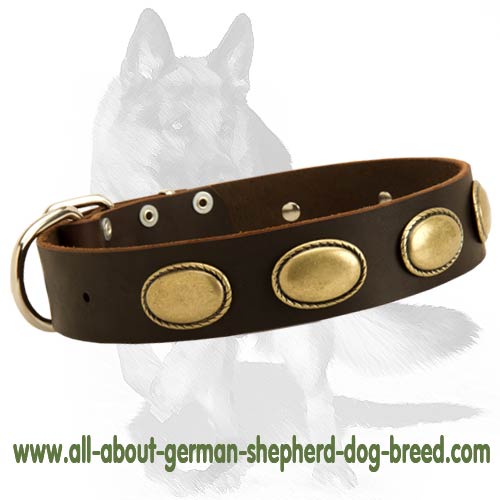 Gorgeous Vintage Leather Collar for German Shepherd Dog