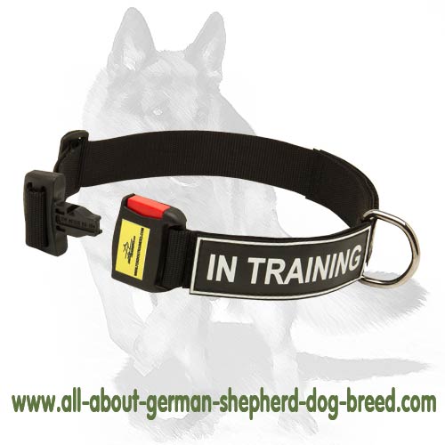 Sturdy Nylon Collar with Velcro ID-Patches for German Shepherd