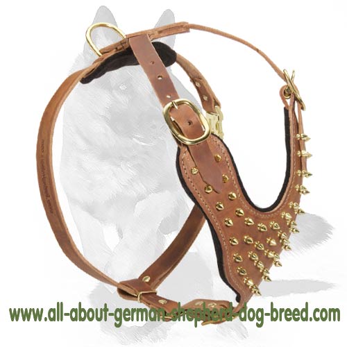 Spiked 2-Ply Leather Harness for German Shepherd