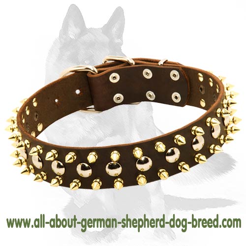 Spiked and Studded Dog Collar for powerful German Shepherd