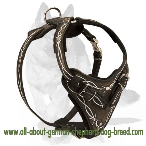‘The Savannah’ Hand Painted German Shepherd Dog Body Harness