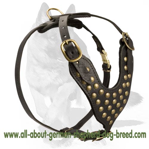 2 Ply Studded Leather Dog Harness for German Shepherd