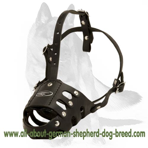 Everyday and Training German Shepherd dog Muzzle