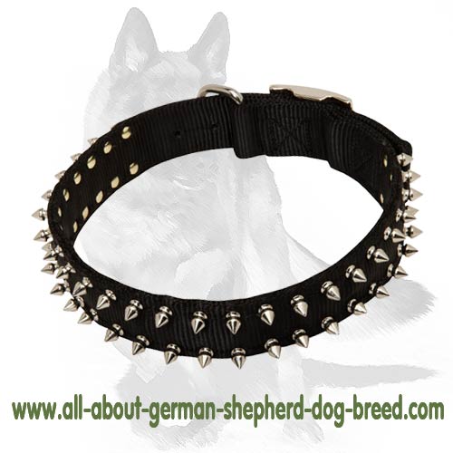 Black Nylon Dog Collar with 2 rows of Shiny Spikes