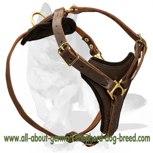 ‘Sky Fall’ Superb Design Tracking/Walking German Shepherd Dog Harness