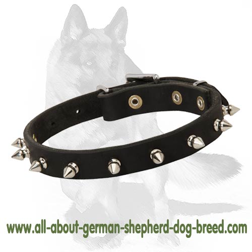 Top Quality Leather Collar in Style of Rock