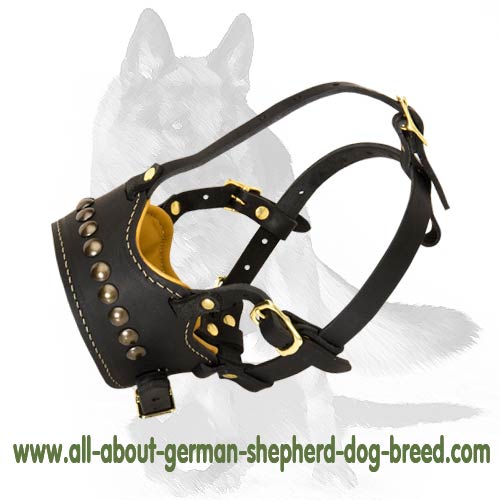 'Commander Steel' - Nappa Padded Leather Dog Muzzle