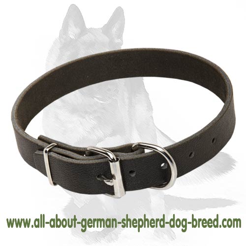 Top grade 1 1/5 inch Wide Leather Collar of Classic Design