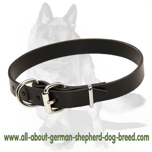 Plain Leather Collar for German Shepherd Dog