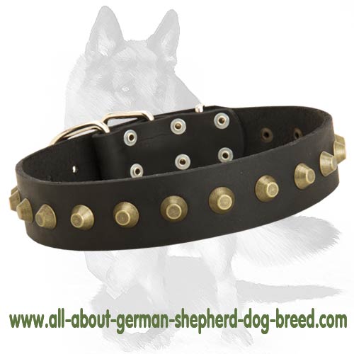 German Shepherd Leather Collar with Brass truncated cones - Click Image to Close