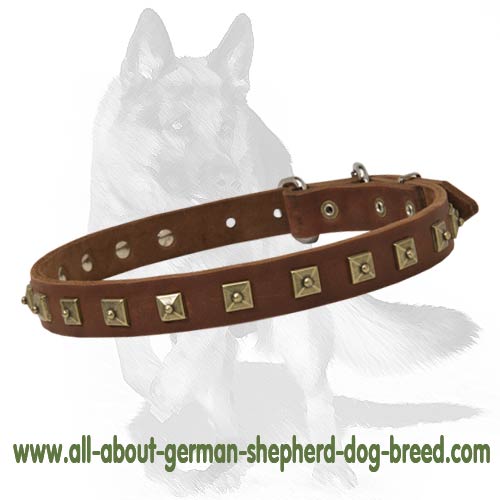 Handcrafted Leather Dog Collar With Brass Studs