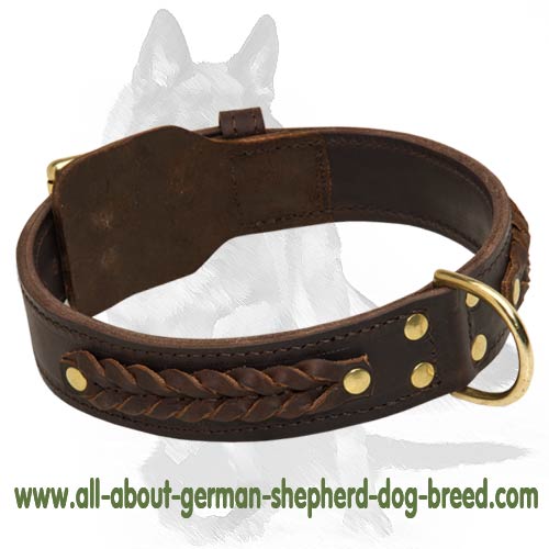 Wide 2 Ply Leather Dog Collar with handcrafted Braids
