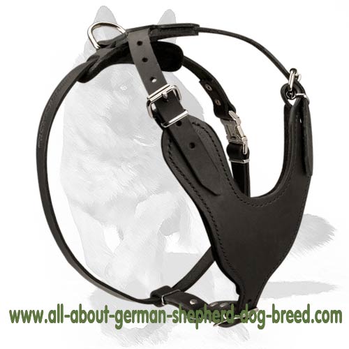 Superior Leather Dog Harness for German Shepherd