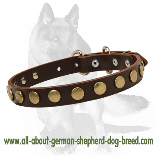 Best ever Leather Collar with Studs for German Shepherd - Click Image to Close