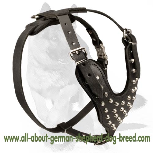 German Shepherd Dog Decorated Leather Harness