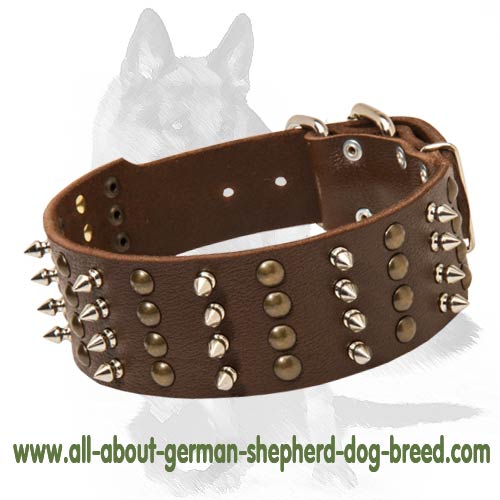 Wonderful Spiked & Studded Leather German Shepherd Dog Collar