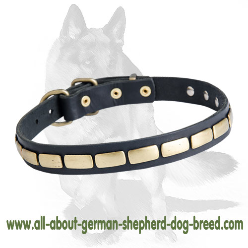 Exquisite German Shepherd Leather Collar with Plates