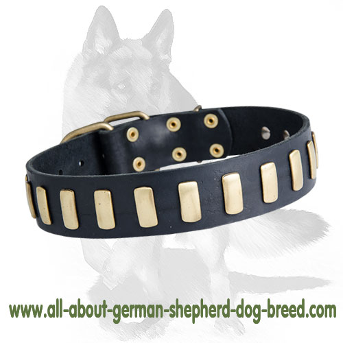 K9 dog training collar-Gorgeous Wide Leather Dog Collar with Plates