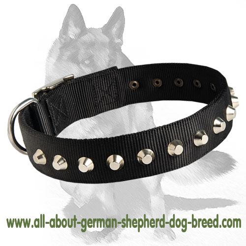 Gorgeous Wide Nylon Dog Collar With Nickle Pyramids