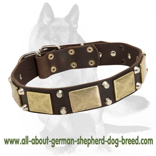 German Shepherd Leather Dog Collar with Studs-Custom Dog Collar