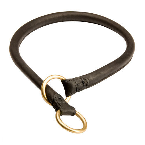 Solid brass dog choke chain hotsell