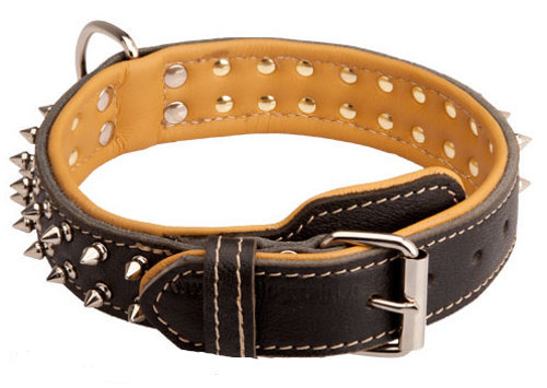German Shepherd Leather Collar with Shiny Spikes