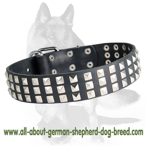 Silver Pyramid Leather Dog Collar for German Shepherd