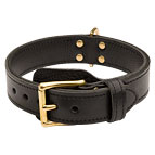 Perfect 2 ply Leather Collar for Agitation Training