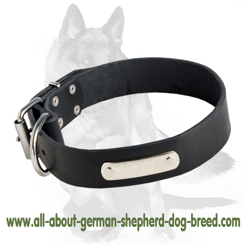 Leather German Shepherd Collar for Easy Identification