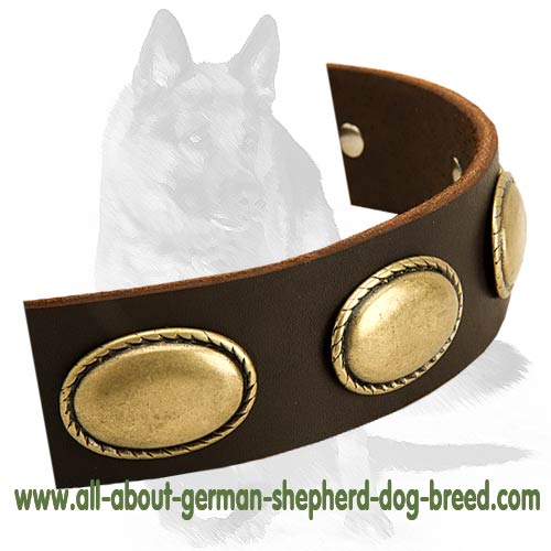High Quality Leather Dog Collar with Plates for German Shepherd