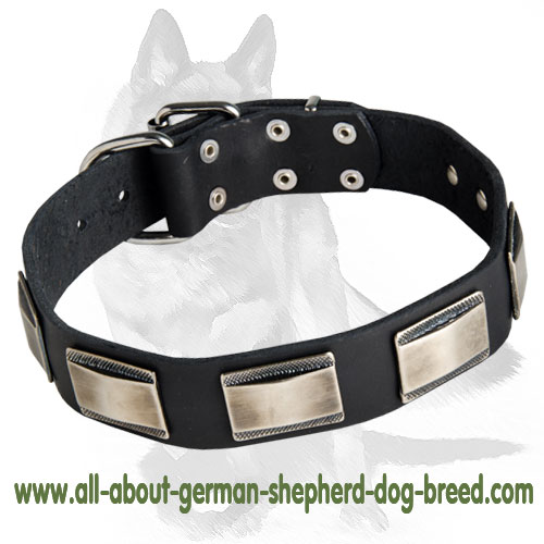Designer Dog 【Collar】 with carved metal plates for German