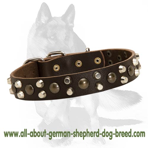 Magnificent Leather Collar with Studs for German Shepherd - Click Image to Close