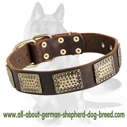 Gorgeous Warlike Leather Collar for German Shepherd - Click Image to Close