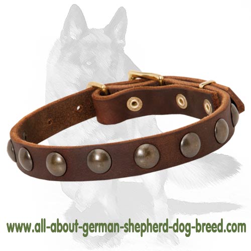 Handcrafted German Shepherd Leather Collar with Luxurious Decorations - Click Image to Close
