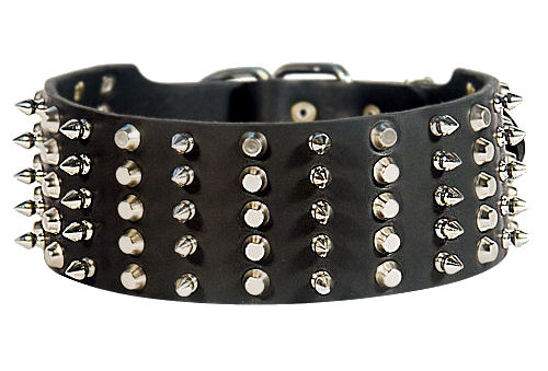 Spiked and Studded German Shepherd Collar