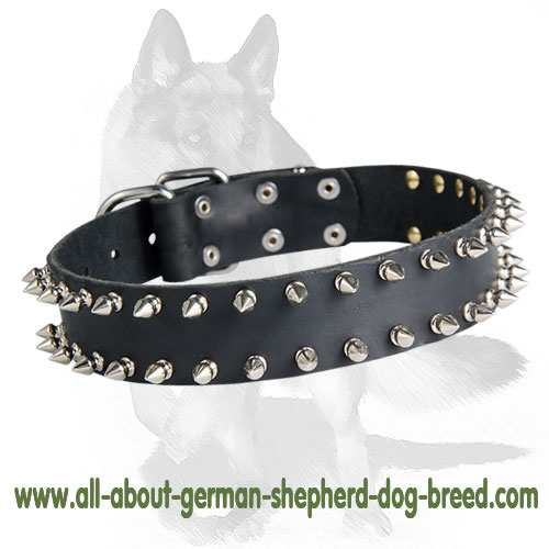 2 Row Spiked Collar for German Shepherd