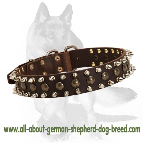 Handsome Spiked and Studded Leather Collar