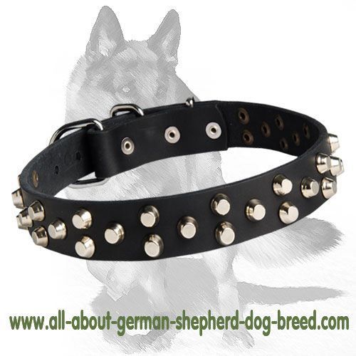 3 Rows Studded Leather Dog Collar 1 1/4 inch (30 mm) wide